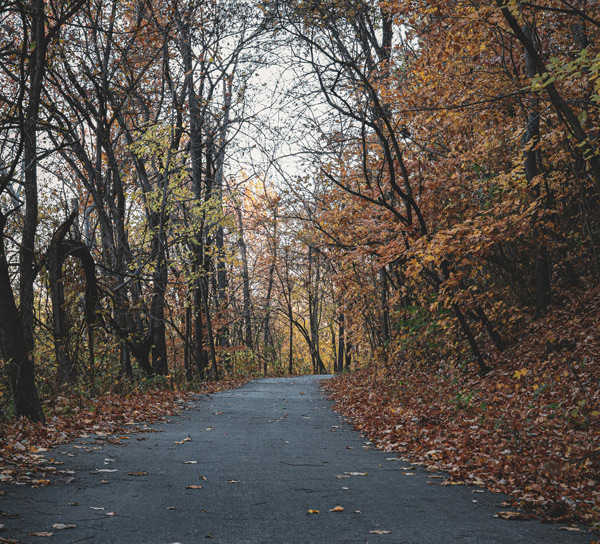 NHRTC WEBINAR: State of NH Rail Trails