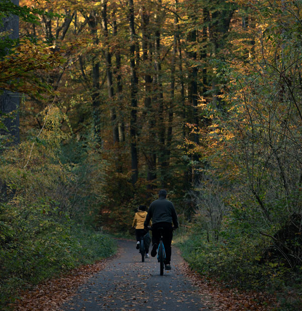 Monadnock Region Rail Trails Update