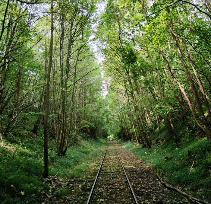 Cohas Brook Trestle Work Complete